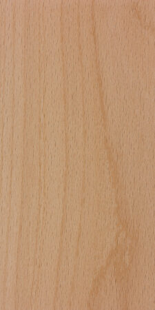 Beech wood sample