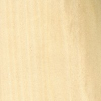 Poplar wood sample
