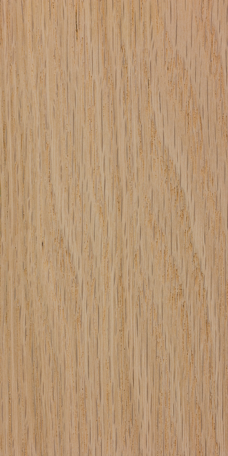 Red Oak wood sample